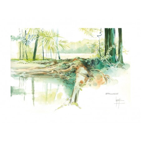 Aquarelle Joub Rue Mme Payé