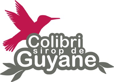 Colibri sirop de Guyane